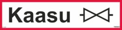Kaasu