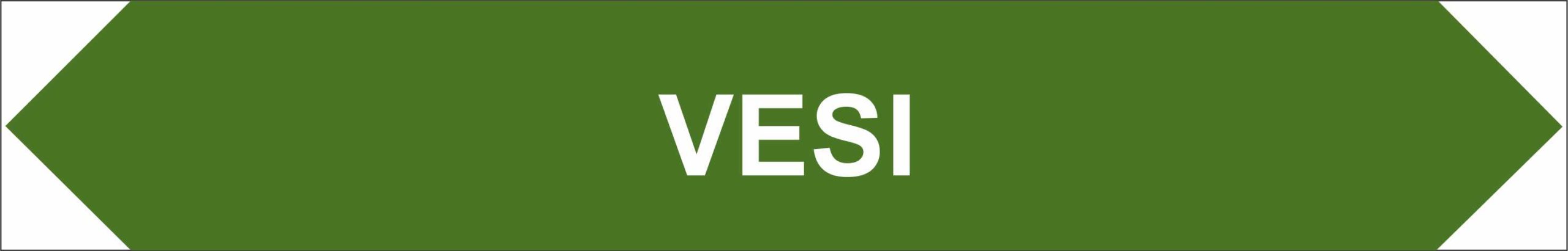 VESI